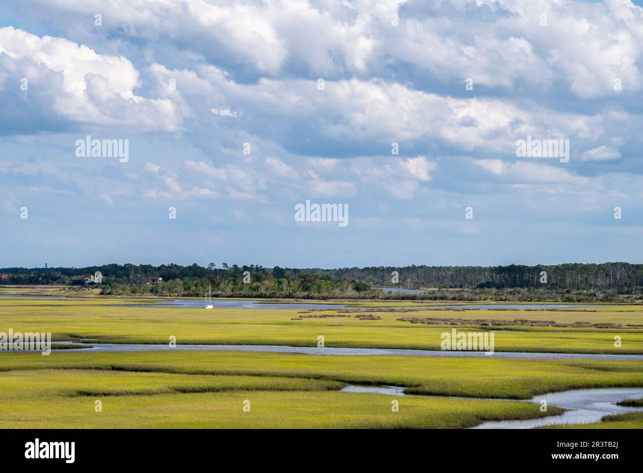 Salzmarschland entlang des Intracoastal Waterway in Ponte Vedra Beach, Florida. (USA) Stockfoto