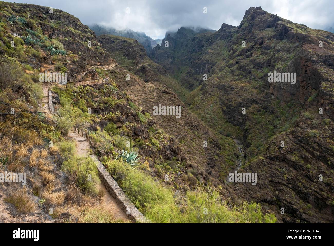 Barranco del Infierno Gorge, Adeje, Teneriffa, Kanarische Inseln, Spanien Stockfoto