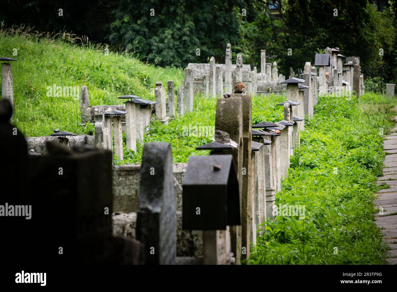 Remuh Friedhof Stockfoto