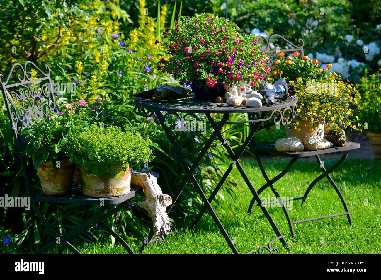Topfpflanzen auf einem Gartentisch im Garten Stockfotografie - Alamy