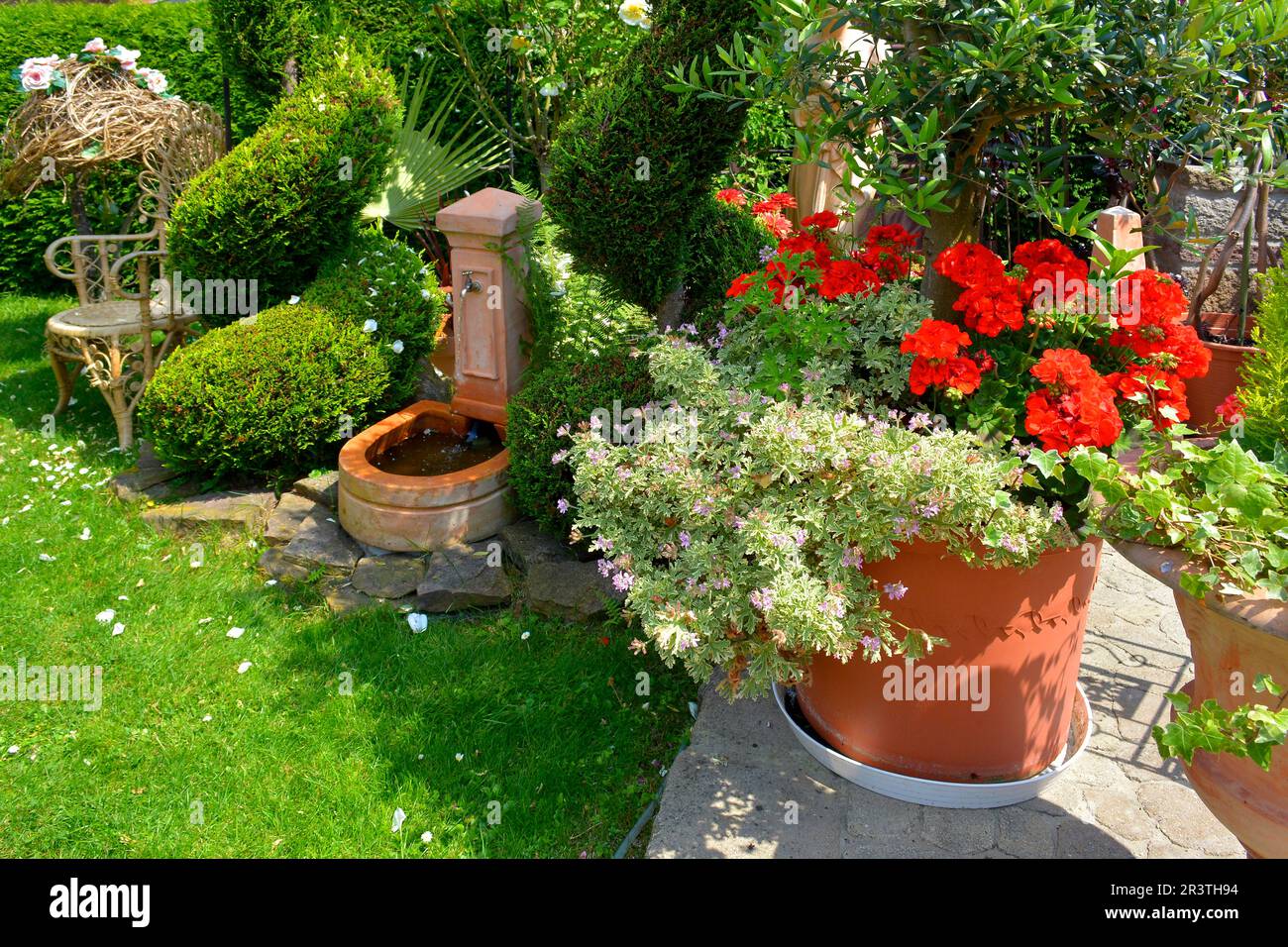 Schöne Gartenanlage im Sommer mit Springbrunnen, Ziergarten Stockfoto