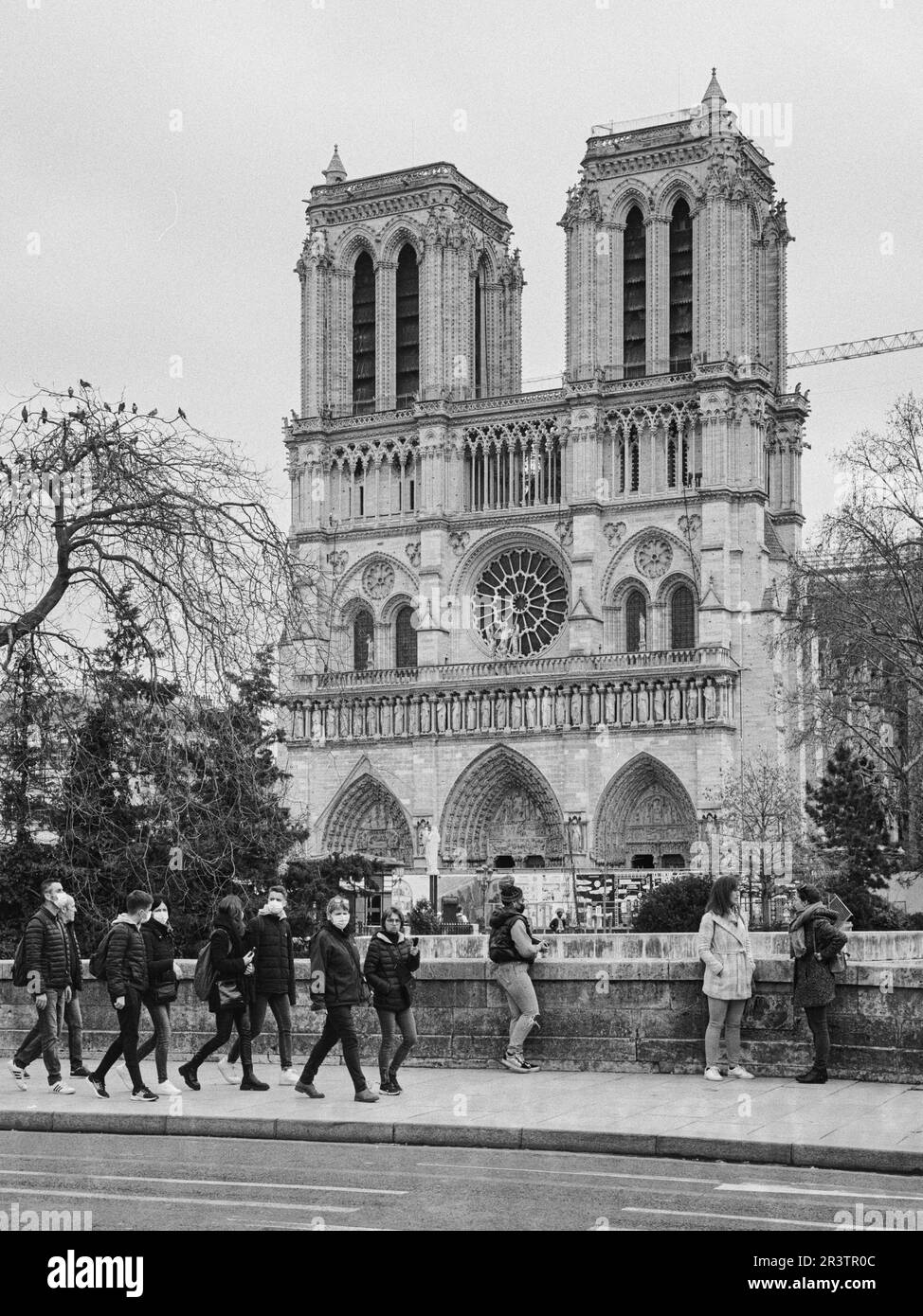 Notre Dame de Paris, Paris, Frankreich Stockfoto