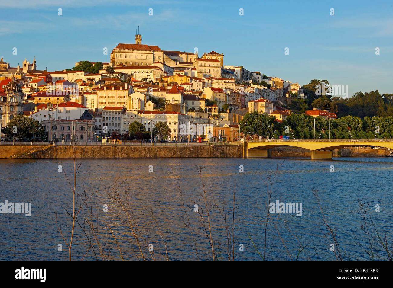 Altstadt, Fluss Mondego, Coimbra, Beira Litoral, Portugal Stockfoto