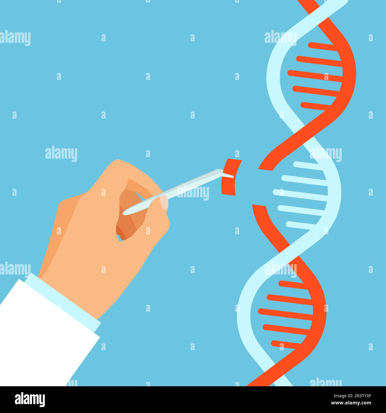 Forschung oder DNA-Test wissenschaftlich. Der Arzt untersucht menschliche DNA. Genetische Wissenschaft und Genchromosom erforschen. Vektordarstellung. Stock Vektor