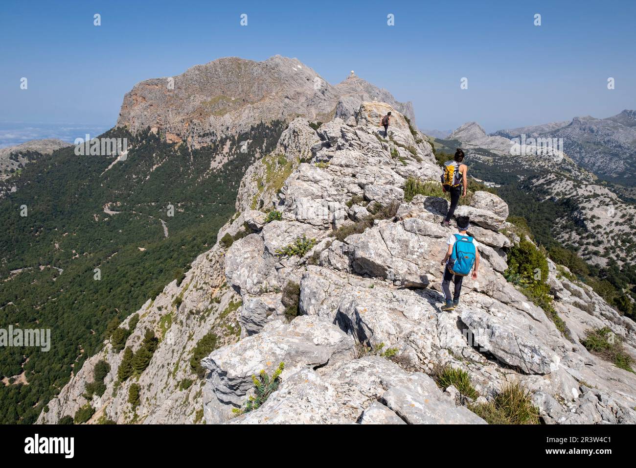 Sierra Sohn Torrella Stockfoto