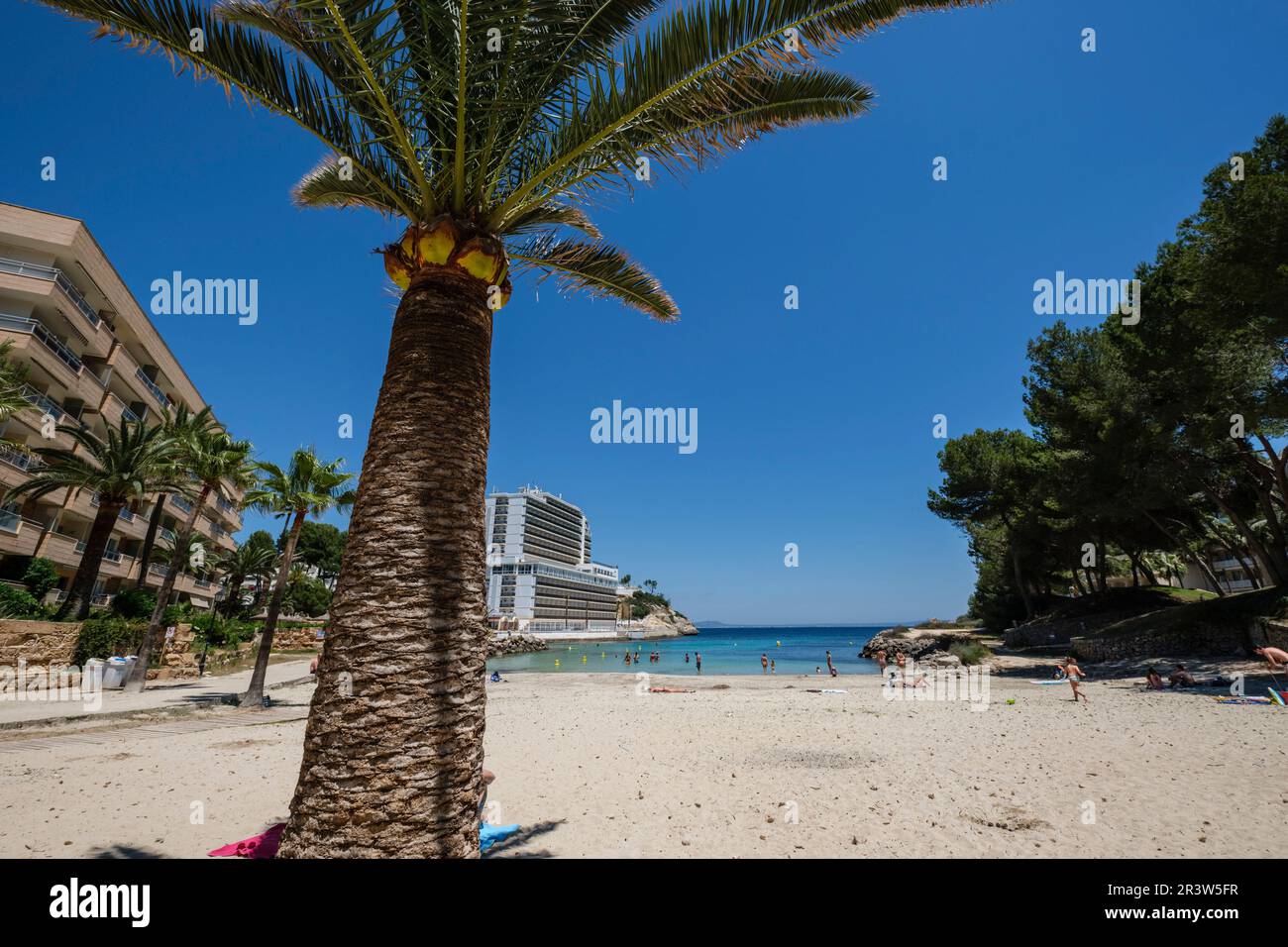Cala Vinyes Stockfoto