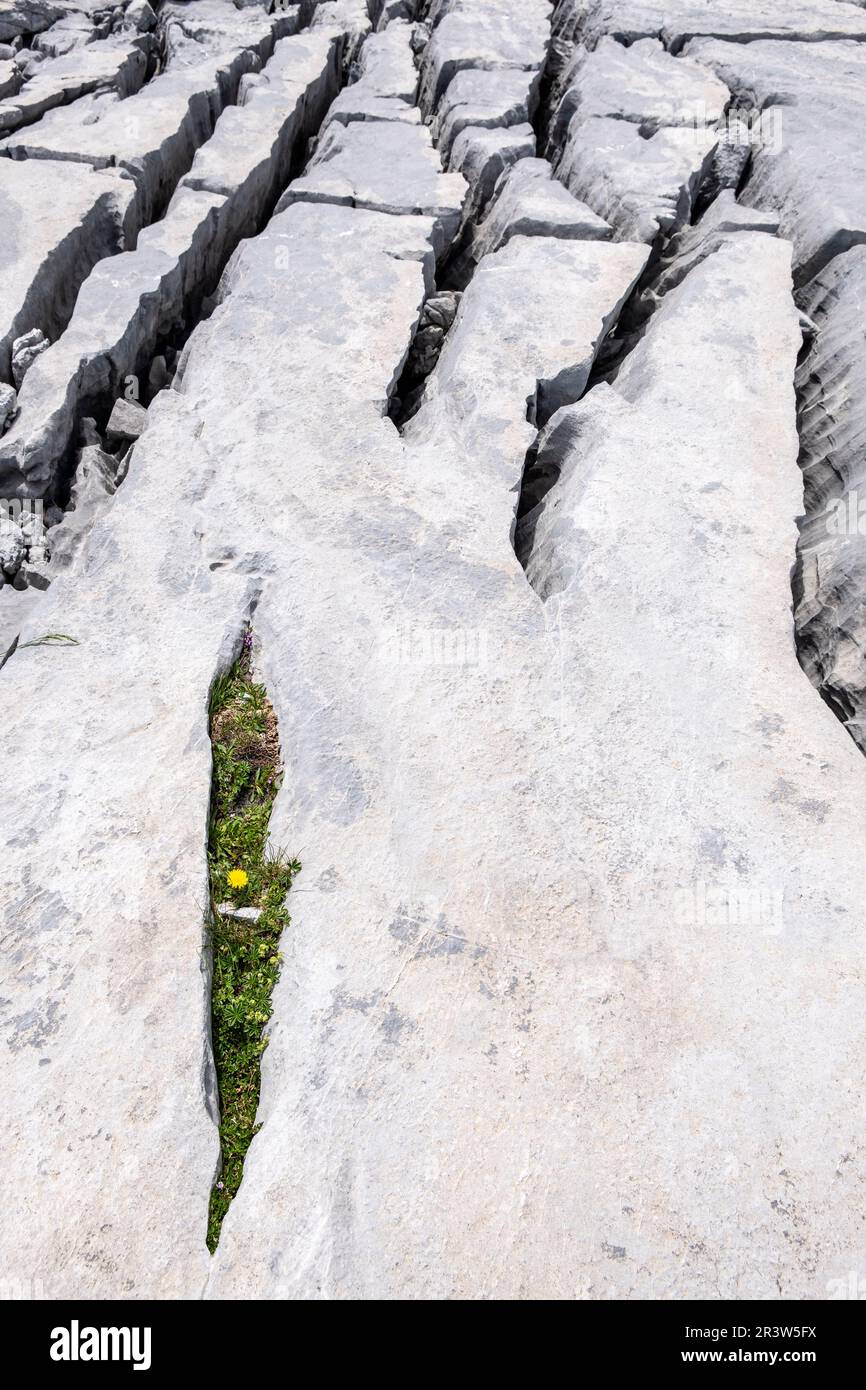 Das kalkhaltige Labyrinth von Pico de Aspe Stockfoto