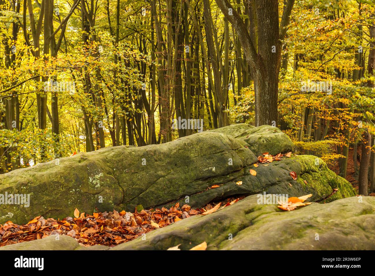 Tecklenburg, Hexenküche, Felsen, Tecklenburger Land, Nordrhein-Westfalen Stockfoto