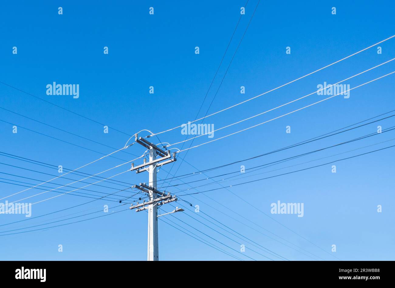 Posts und Stromleitungen vor einem wolkenlosen blauen Himmel. Auckland. Stockfoto
