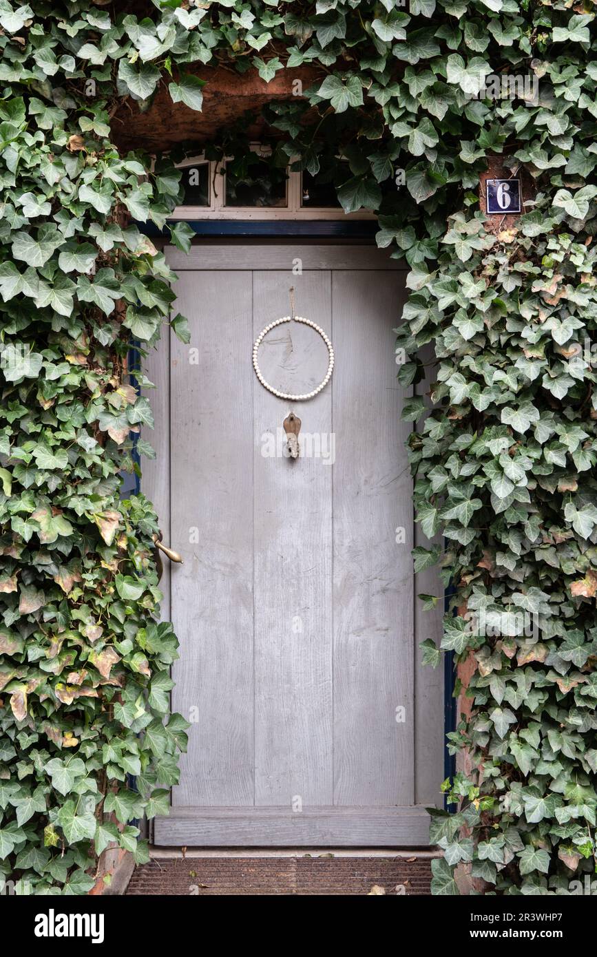 Tür in der Altstadt von Hitzacker an der Elbe Stockfoto