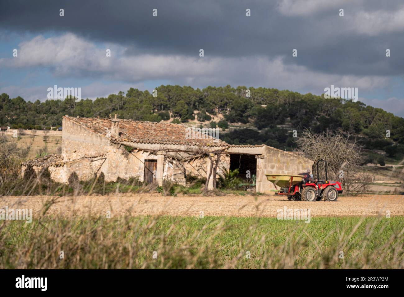 Ländlichen Bereich Stockfoto