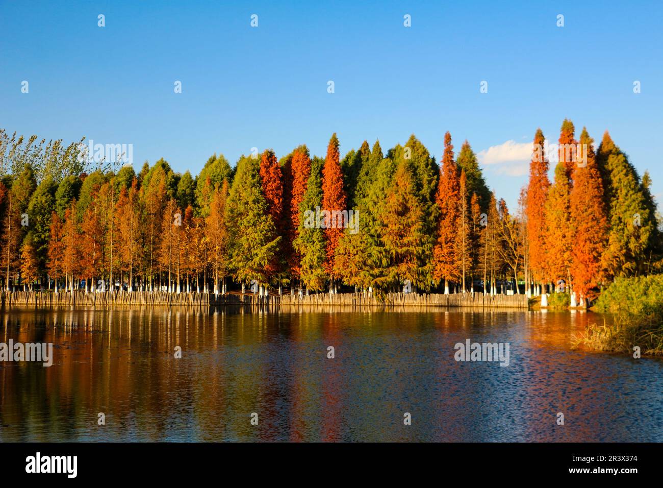 Frühling in Kunming Stockfoto