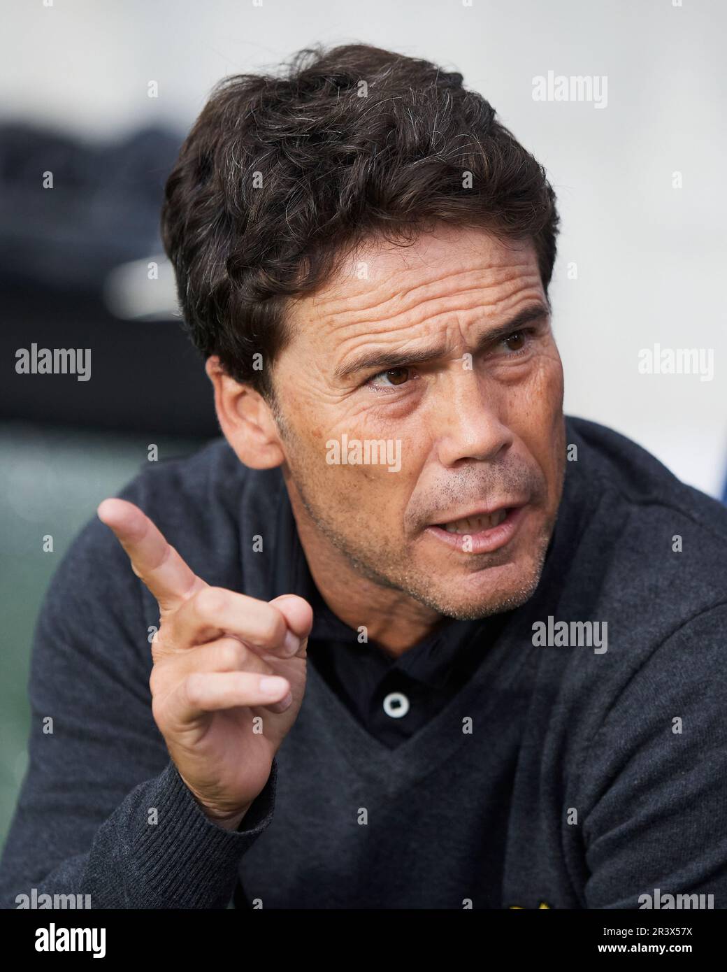 UD Almeria Cheftrainer Joan Francesc Ferrer Rubi schaut während des Spiels La Liga Santander zwischen Real Sociedad und UD Almeria im reale Arena Stadium o Stockfoto