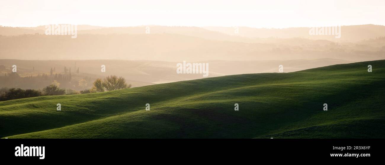 Wunderschöne toskanische Hügel in Val d'Orcia, Siena. Friedliche Landschaft für alle, die sich mit einem atemberaubenden blick auf die toskana entspannen möchten Stockfoto