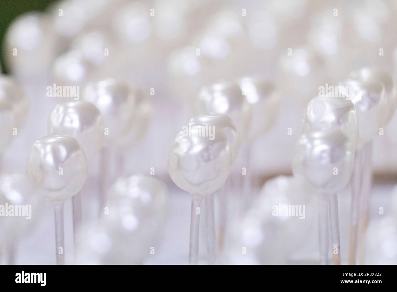 Perlas secandose, Fabrica de Perlas Orquidea, Montuiri, Mallorca, Balearen, Spanien. Stockfoto