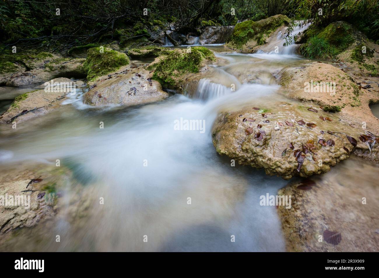 Nacedero del rio Urederra, parque Natural de Urbasa-Andia, comunidad foral de Navarra, Spanien. Stockfoto