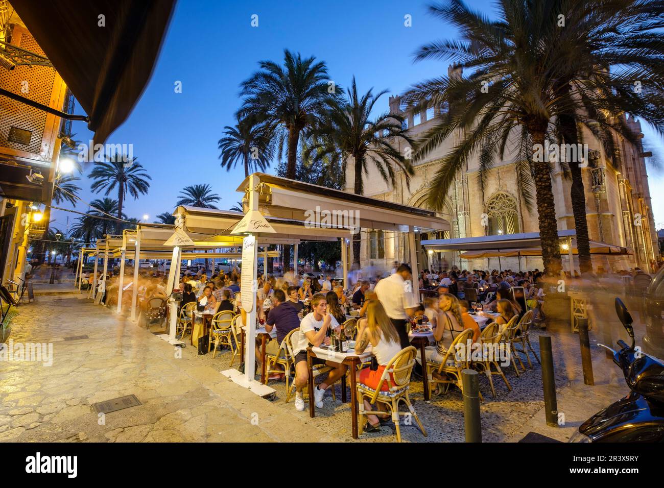 La Llotja, Frente Terrazas de Restaurante La Lonja, edificio Del Siglo XV, PalmaMallorca, Balearen, Spanien. Stockfoto