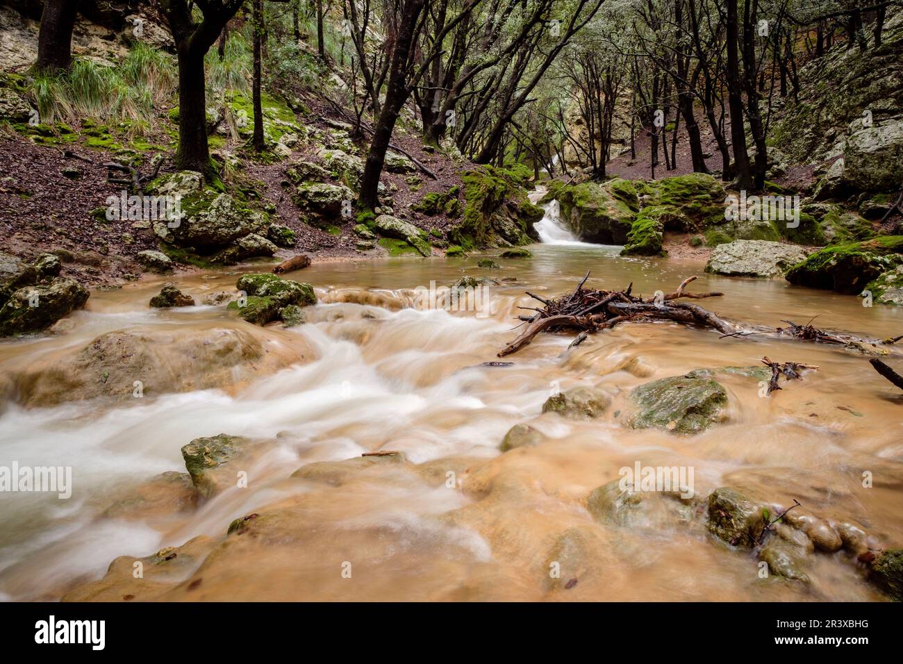 Torrent des Freu, Valle de Coanegra, Orient, Mallorca, Balearen, Spanien. Stockfoto