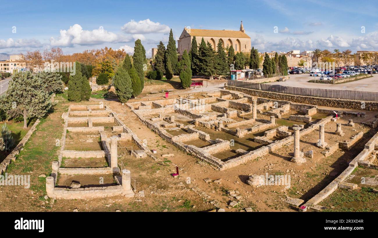 Römische Stadt Pollentia, Alcudia, Mallorca, Balearen, Spanien. Stockfoto