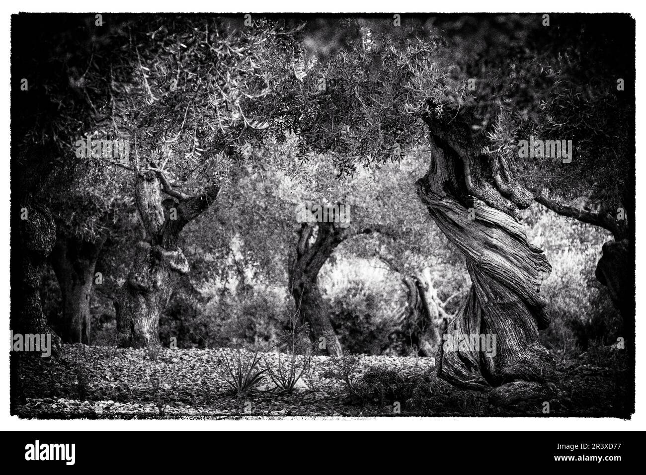 Inseln mallorca Ausgeschnittene Stockfotos und -bilder - Alamy