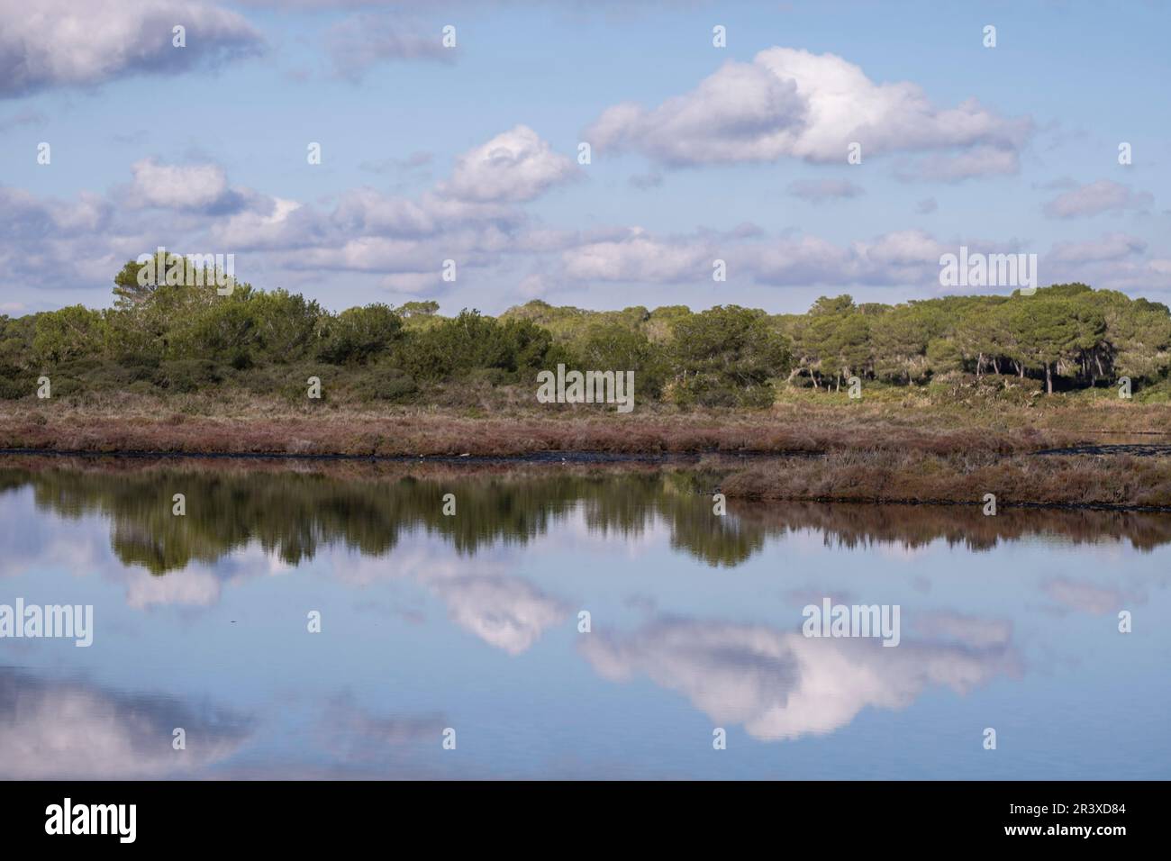 Salzsee SA Vall, Colònia de Sant Jordi, ses Salines, Mallorca, Balearen, Spanien. Stockfoto