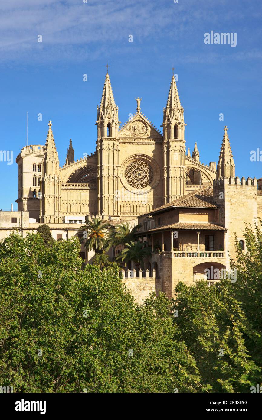 Catedral de Mallorca, Siglo. XIII ein Siglo XX. Palma. Mallorca Islas Baleares. Spanien. Stockfoto