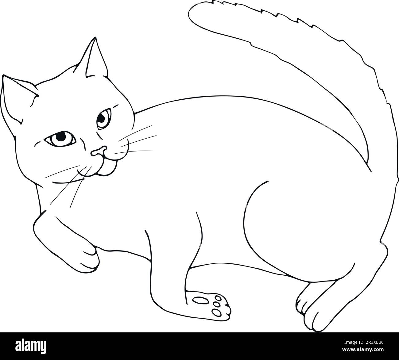 Handgezeichnete Katzenkontur isoliert auf weißem Hintergrund. Handgezogene Katze. Skizzieren. Vektorkunst Stock Vektor