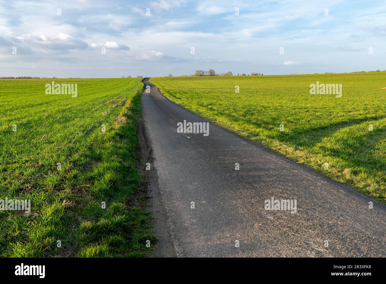 Kleine Landstraße durch Felder Stockfoto