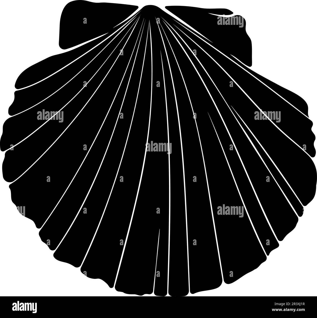 Silhouette in der Draufsicht der Muschelschale Stock Vektor