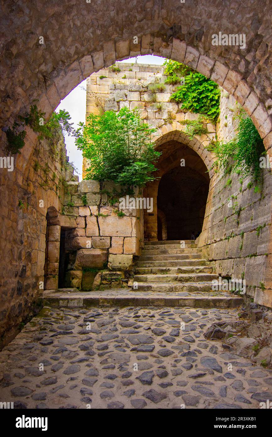 Krak (CRAC) des Chevaliers, auch bekannt als (Schloss der Kurden) und früher CRAC de l'Ospital, ist eine Kreuzritter-Burg in Syrien und eine der imponiertesten Stockfoto