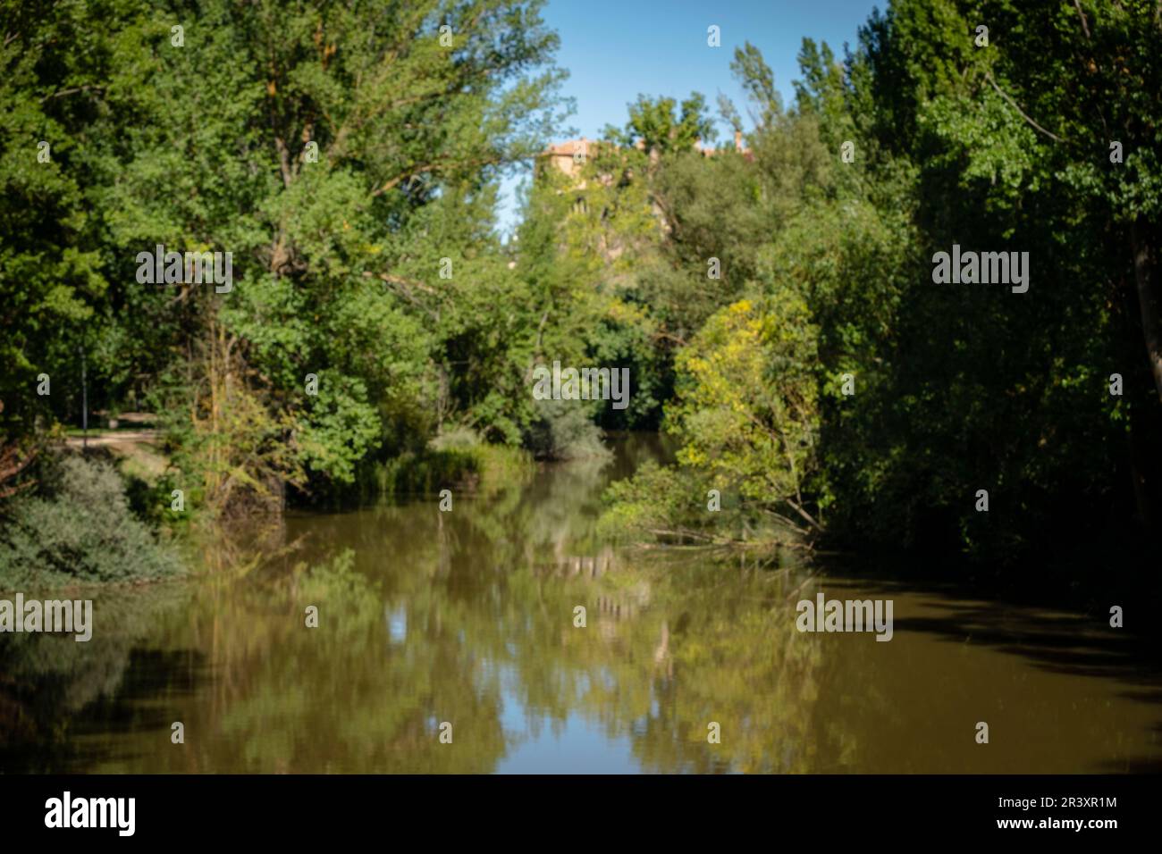 Parque de la Arboleda, Guijuelo, Soria, Comunidad Autónoma de Castilla y León, Spanien, Europa. Stockfoto