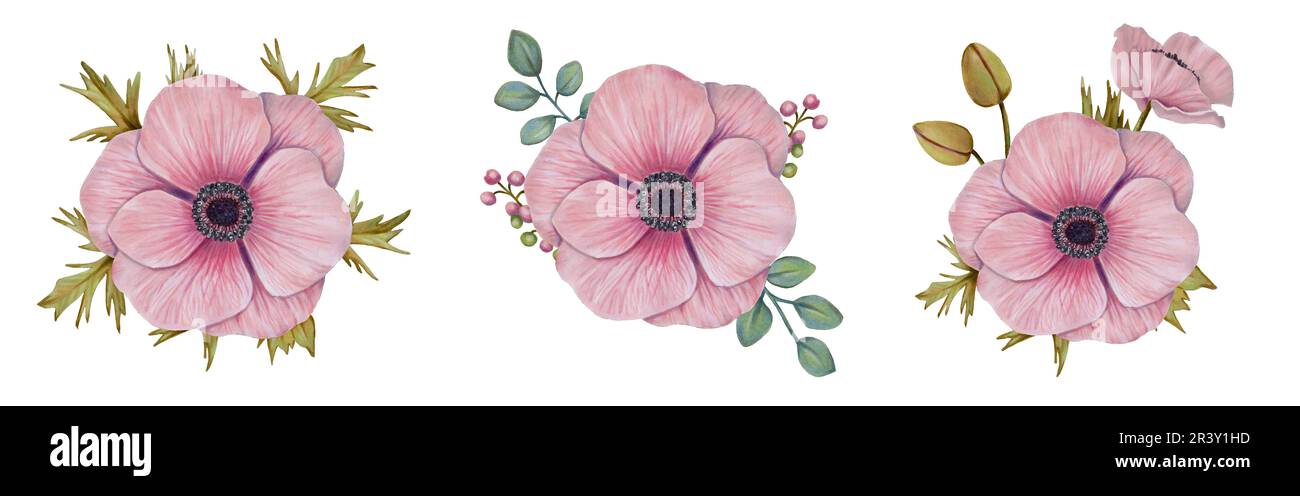 Blumenset. Anemonblüten mit Blättern und Beeren. Aquarell- und Markierungsdarstellung. Ideal für Designelemente, Druckkarten, Hochzeitseinladungen Stockfoto