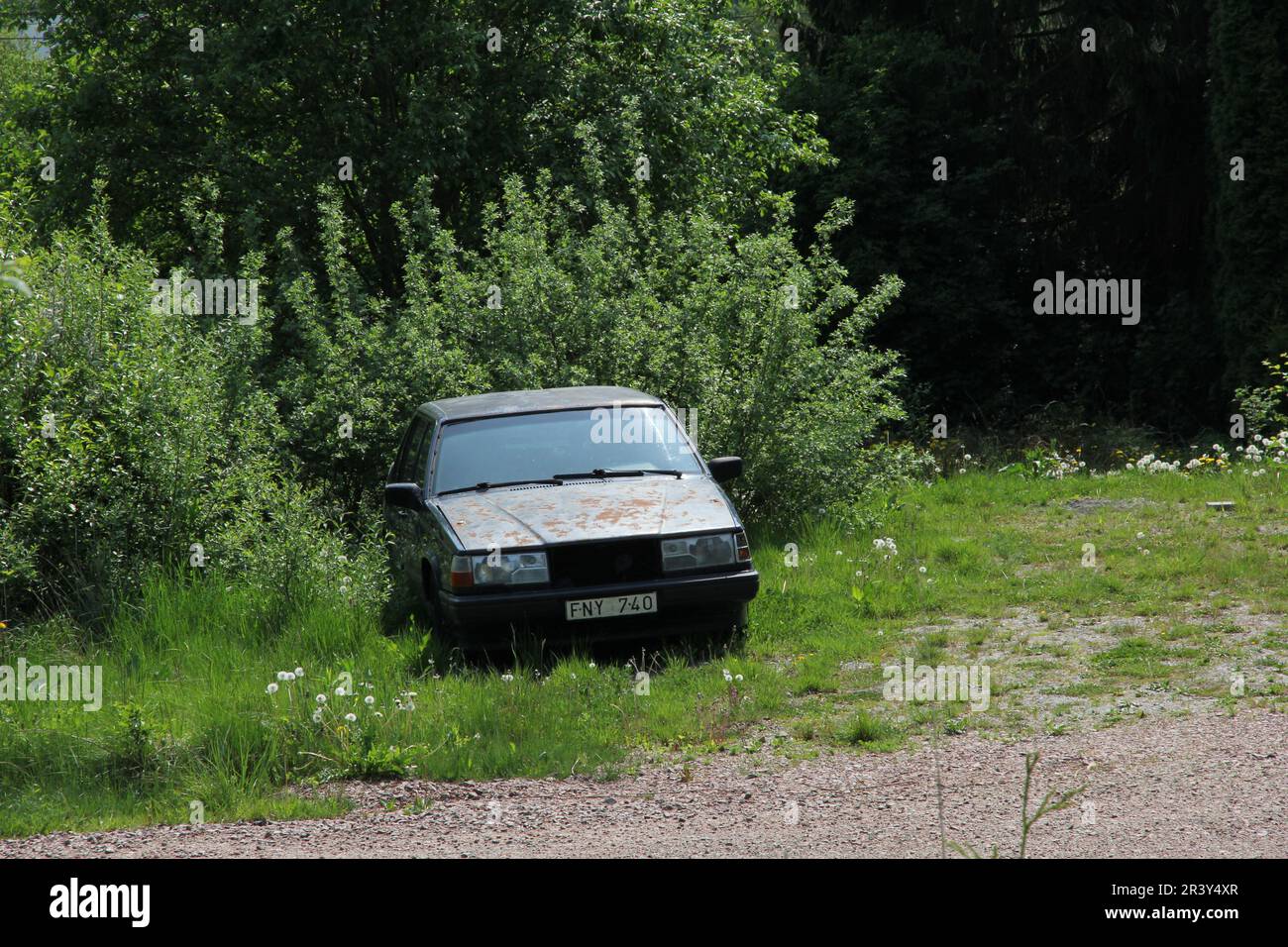 Rostiges Auto im Strauß Stockfoto