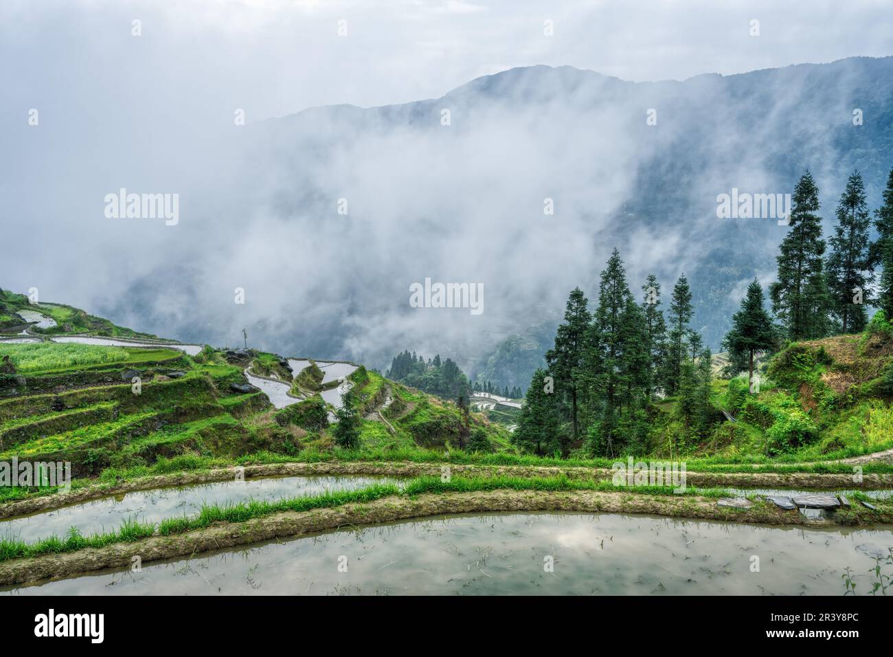 Landschaft mit Terrassenfeldern, Wald und Dörfern in Nebel und Wolken Stockfoto