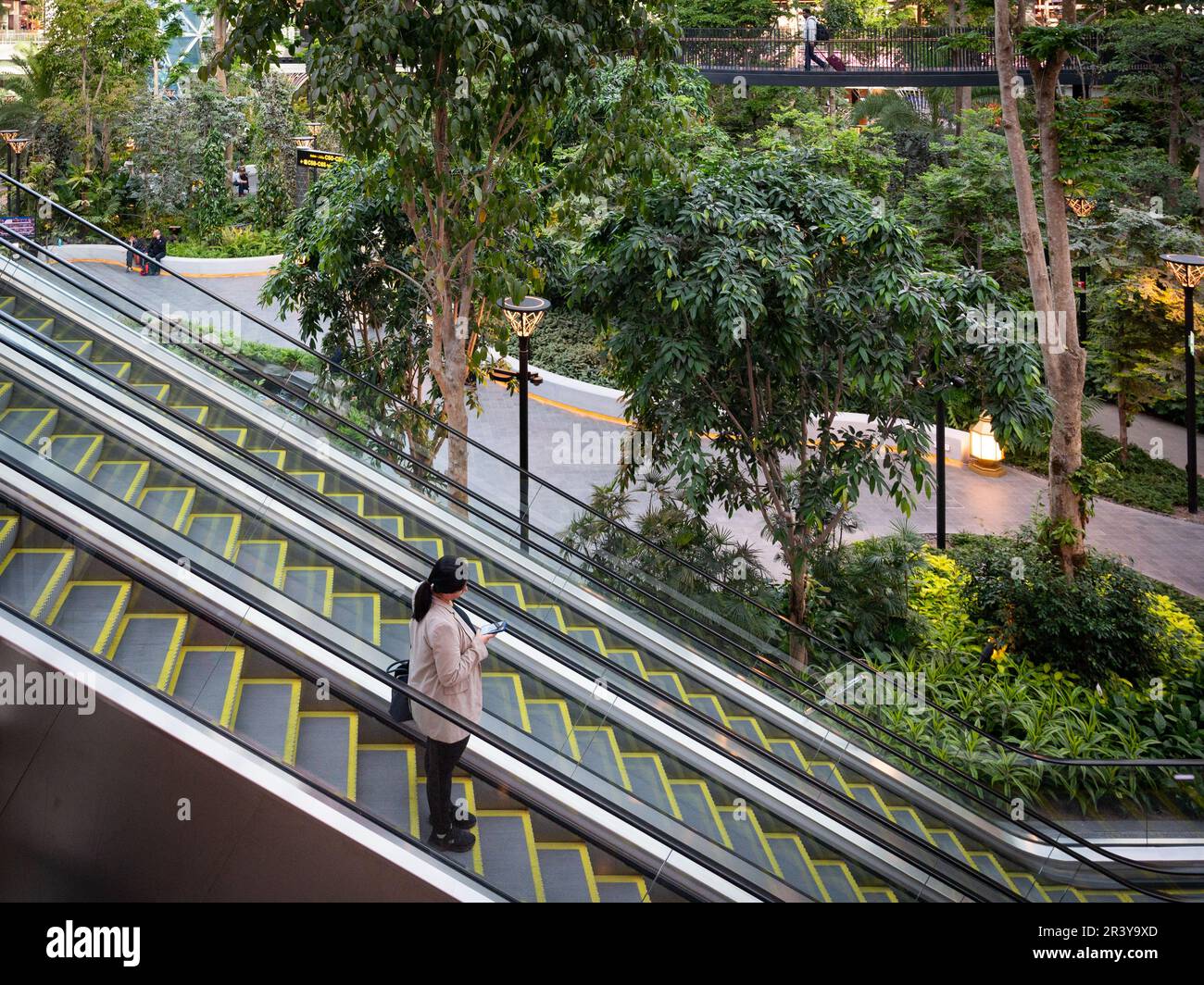 Der Hamad International Airport wird zu einem Obstgarten mit gepflegtem ...