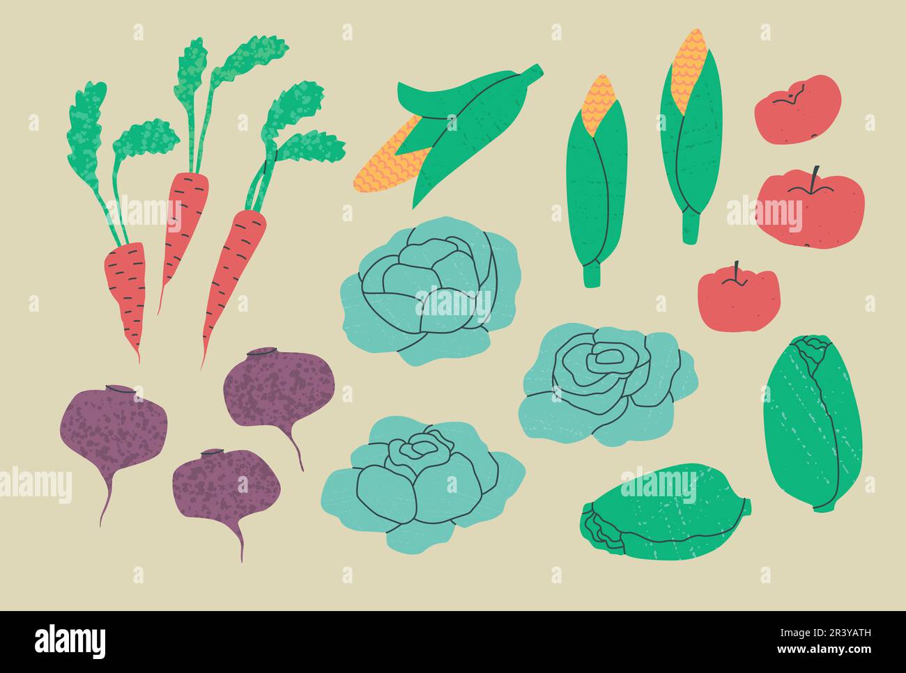 Verschiedene Gemüsesorten - Kohl, Karotten, Rüben, Mais, Tomaten, Eisbergsalat. Vektorgrafik mit Texturen. Stock Vektor