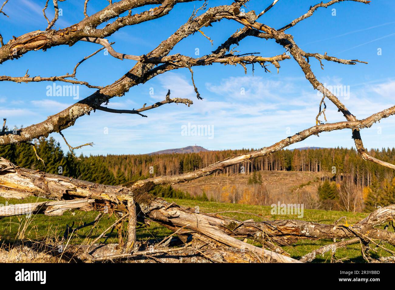 Ring of Remembrance Border Trail Border Museum Sorge in den Harz Mountains Stockfoto