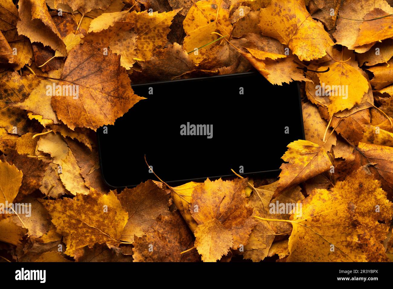 Das Handy ging mit einem schwarzen Bildschirm aus und ging im Laub des Parks verloren. Verlust oder leerer Kopierspeicherplatz. Stockfoto