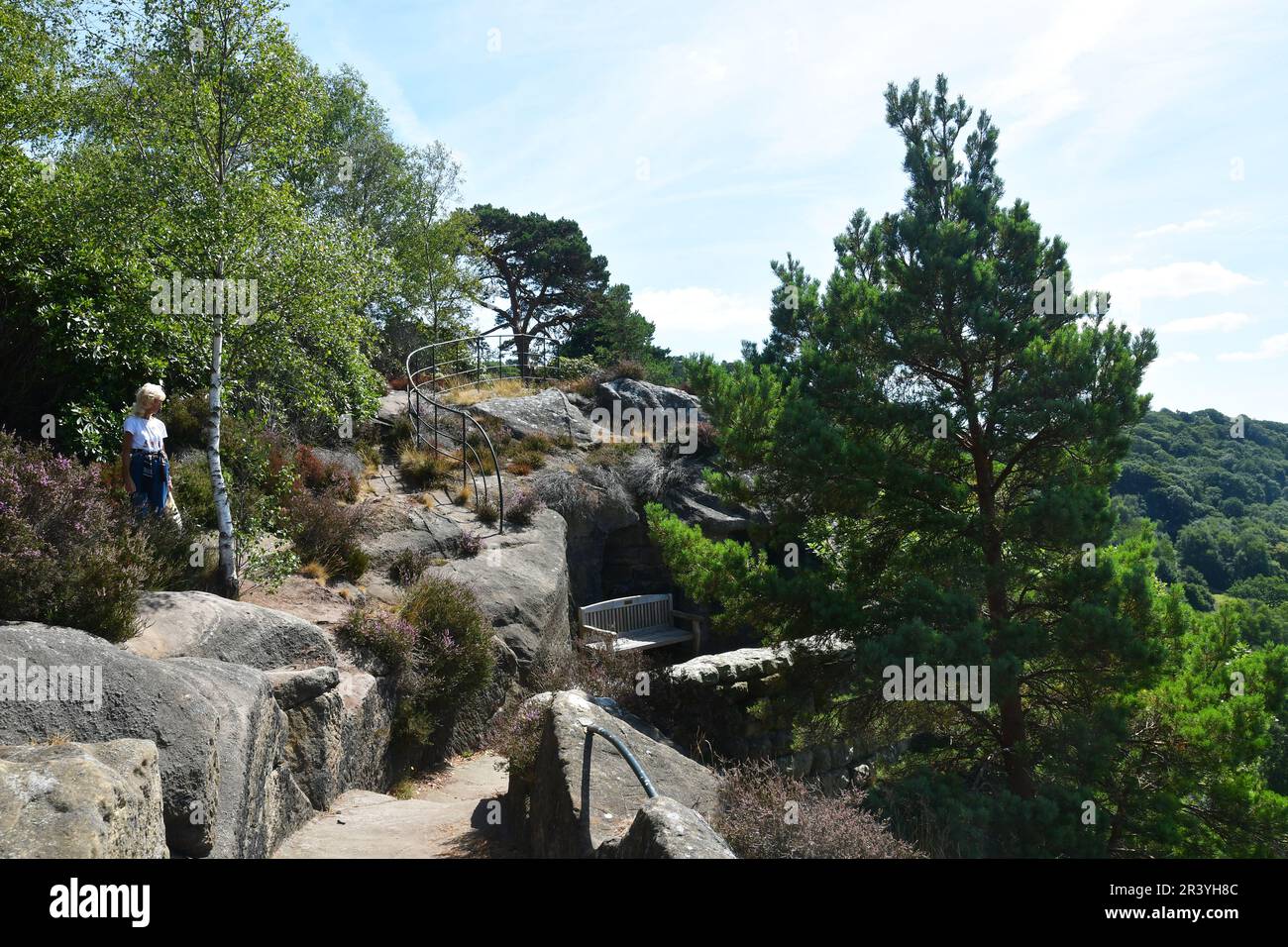 Rock Garden in Hawkstone Park Follies, Shrewsbury, Shropshire, Großbritannien Stockfoto