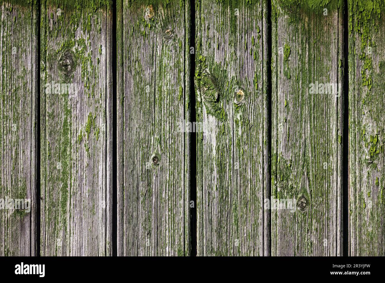 Alte graue Holzwand mit grüner abblätternder Farbe, abstrakte Fotostruktur im Hintergrund Stockfoto