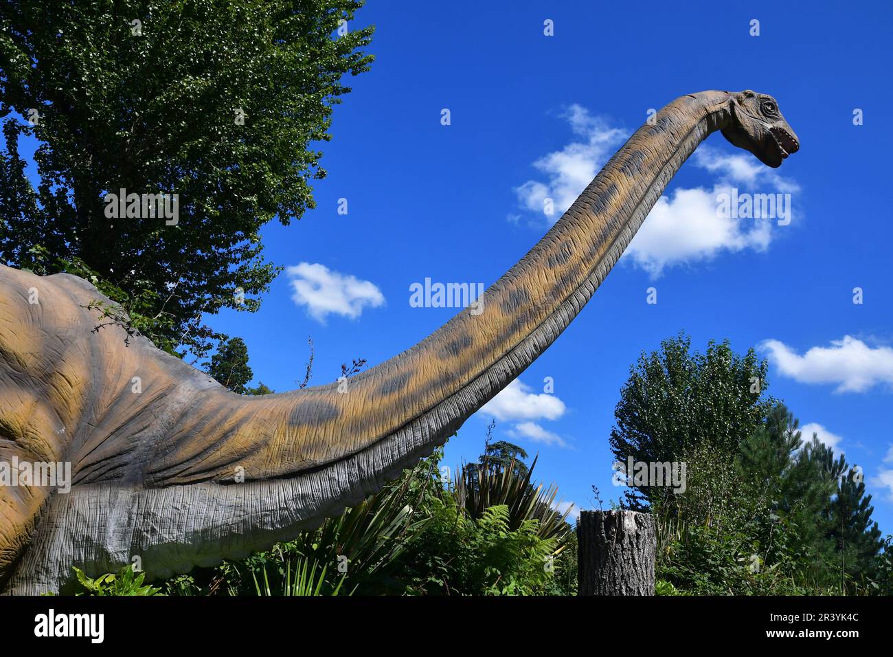 Dinosaurierausstellung im West Midlands Safari Park, Bewdley, Worcestershire, Großbritannien Stockfoto