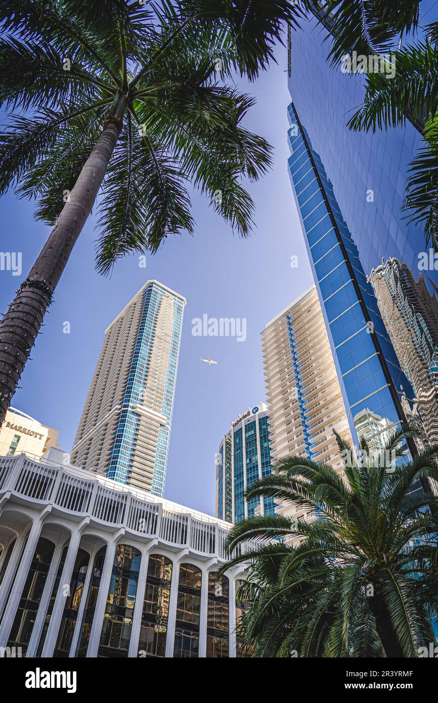 Miami, USA - 5. Dezember 2022. Blick auf eine Ebene, die den Himmel über die Brickell-Gebäude in Miami kreuzt Stockfoto