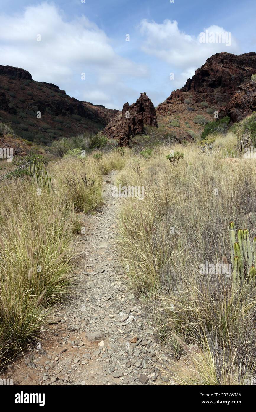 Los Guinchos Ravine San Agustin Stockfoto