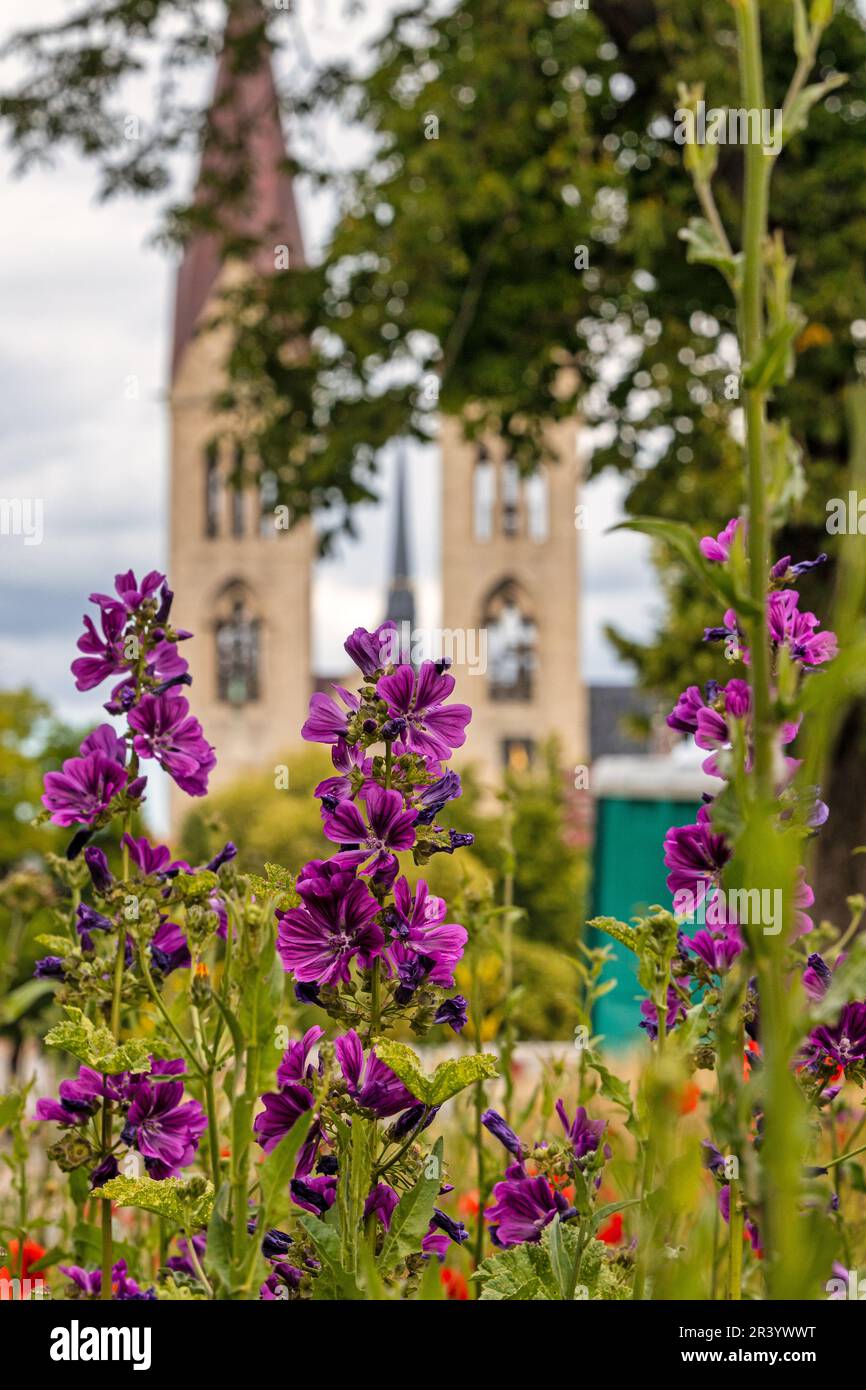 Bilder aus der Bezirksstadt Halberstadt Harz Stockfoto