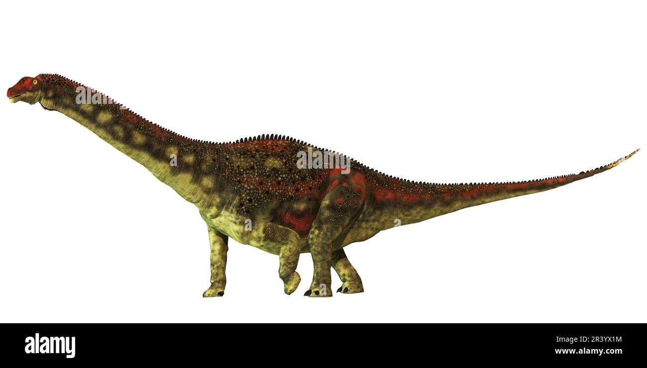 Opisthocoelicaudia dinosaurier, Seitenansicht auf weißem Hintergrund. Stockfoto