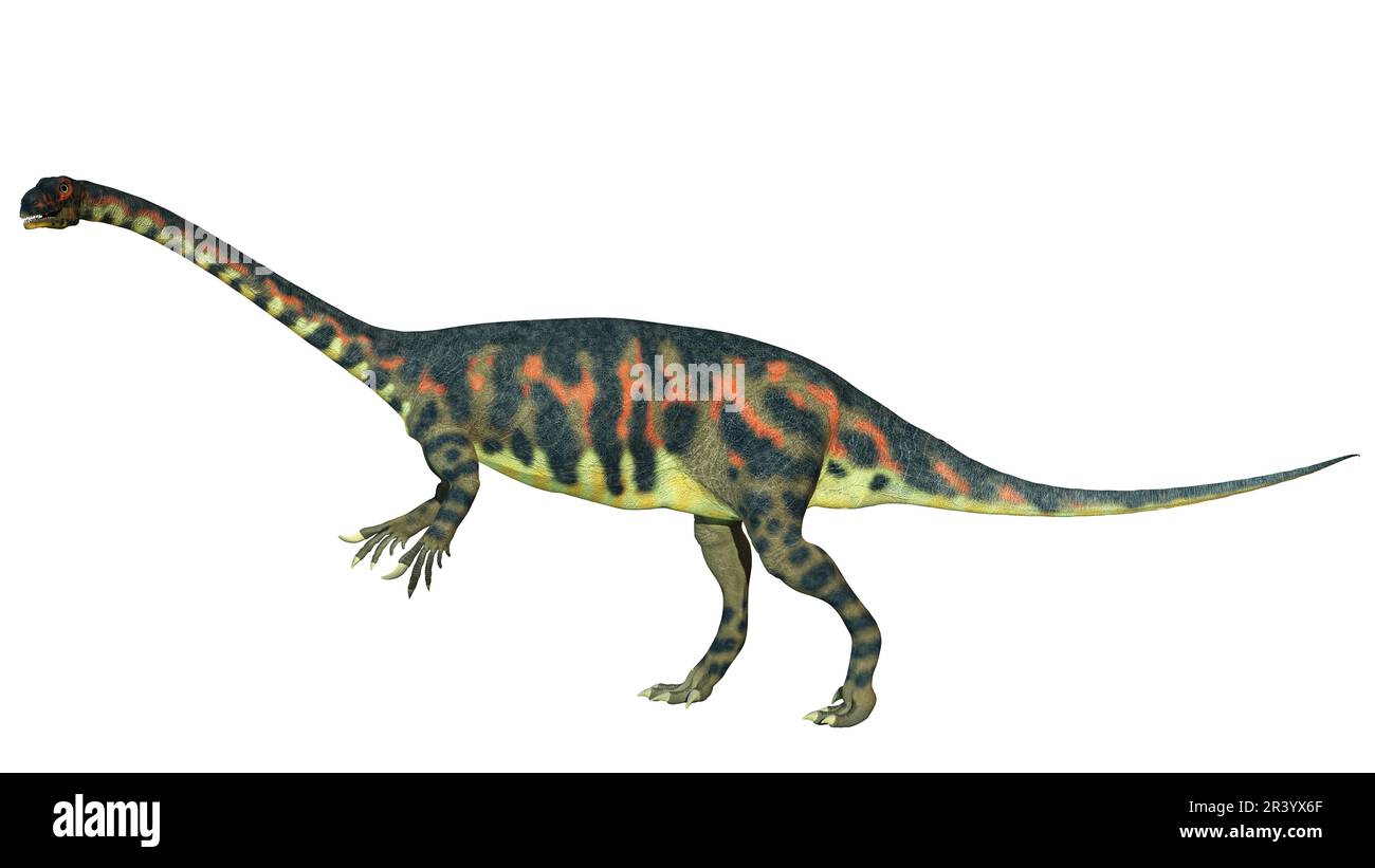 Lufengosaurus hunei Dinosaurier, Seitenansicht auf weißem Hintergrund. Stockfoto