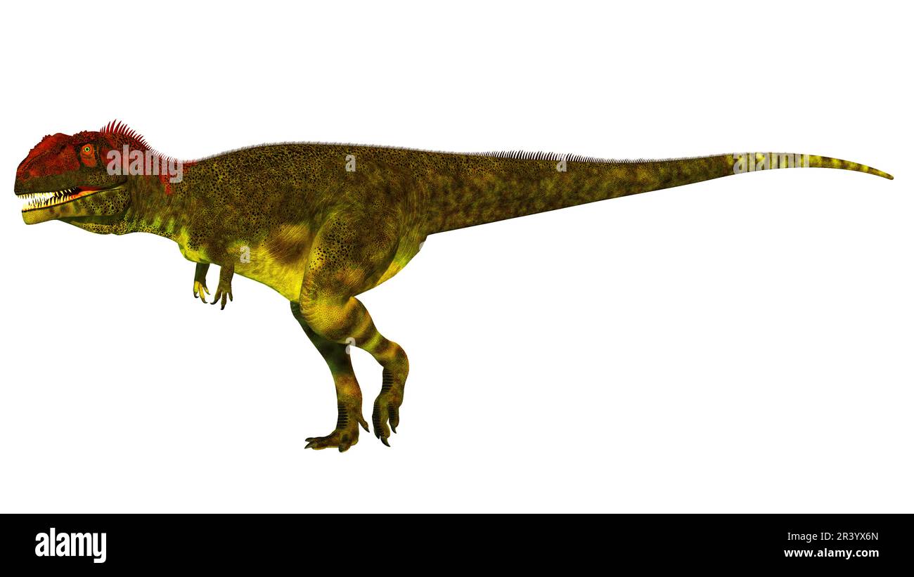 Shaochilong maortuensis Dinosaurier, Seitenansicht auf weißem Hintergrund. Stockfoto