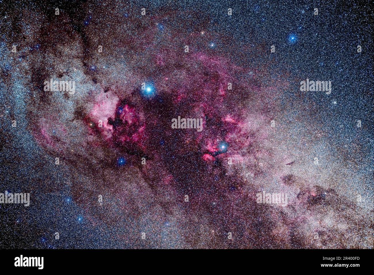 Sternenwolken und rote Emissionsnebel in Zentral-Cygnus. Stockfoto