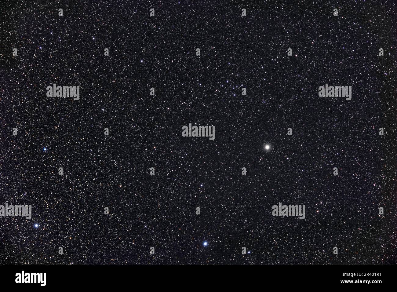 Das große und dünn besiedelte offene Cluster in Ophiuchus, bekannt als IC 4665. Stockfoto