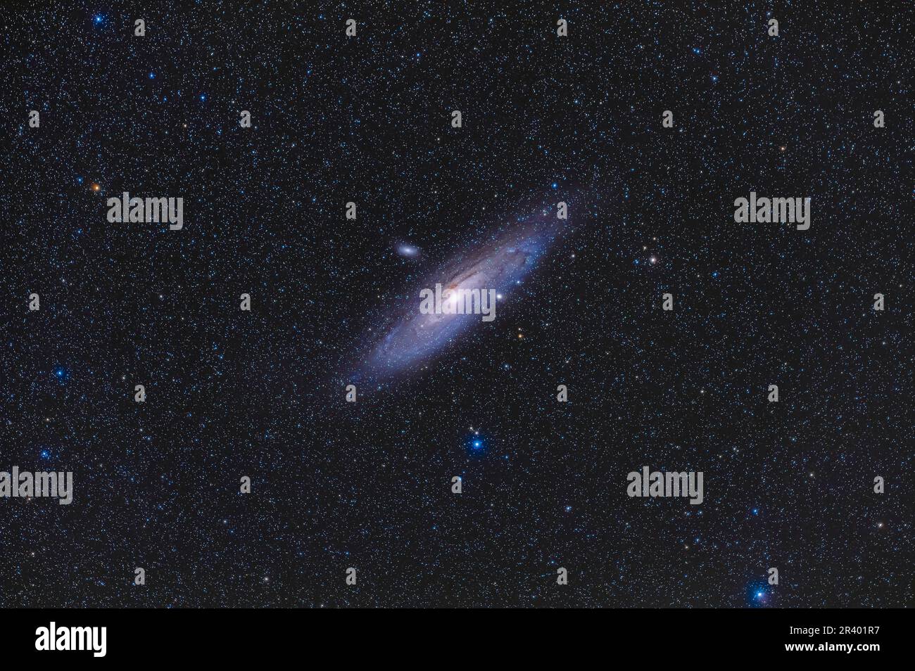 Messier 31, die Andromeda-Galaxie. Stockfoto